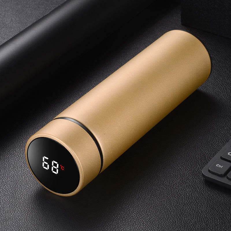 ThermaCore Insulated Stainless Steel Bottle
