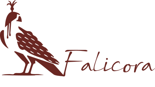 Falicora